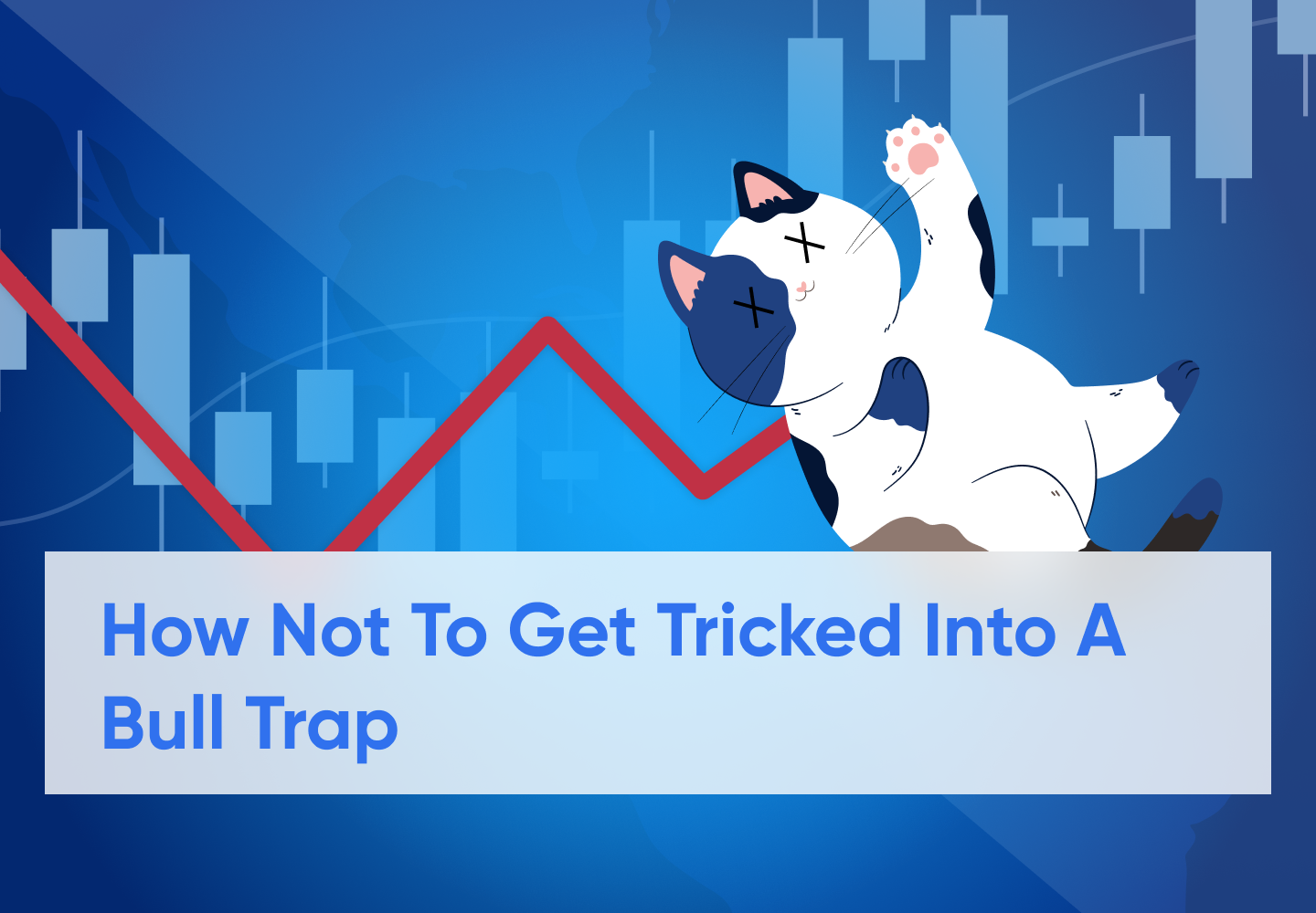 What Is a Dead Cat Bounce?