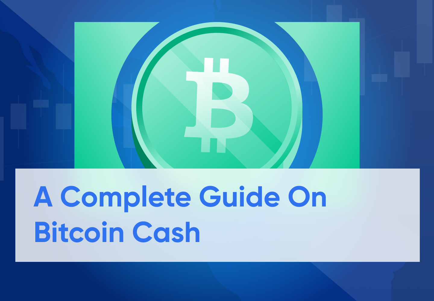 Bitcoin Cash Overview