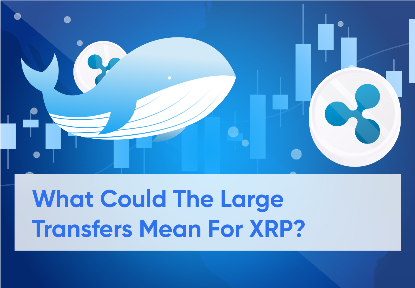 Could the Latest Whale Movements of XRP Be a Bullish Sign?