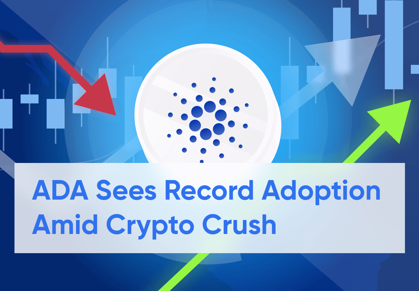 Cardano New Wallet Count Grows at Record Pace Amid Crypto Market Crash