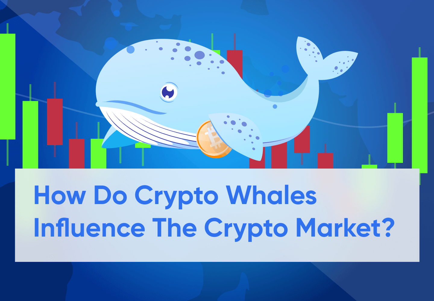 What Are Crypto Whales and Why Do They Matter?