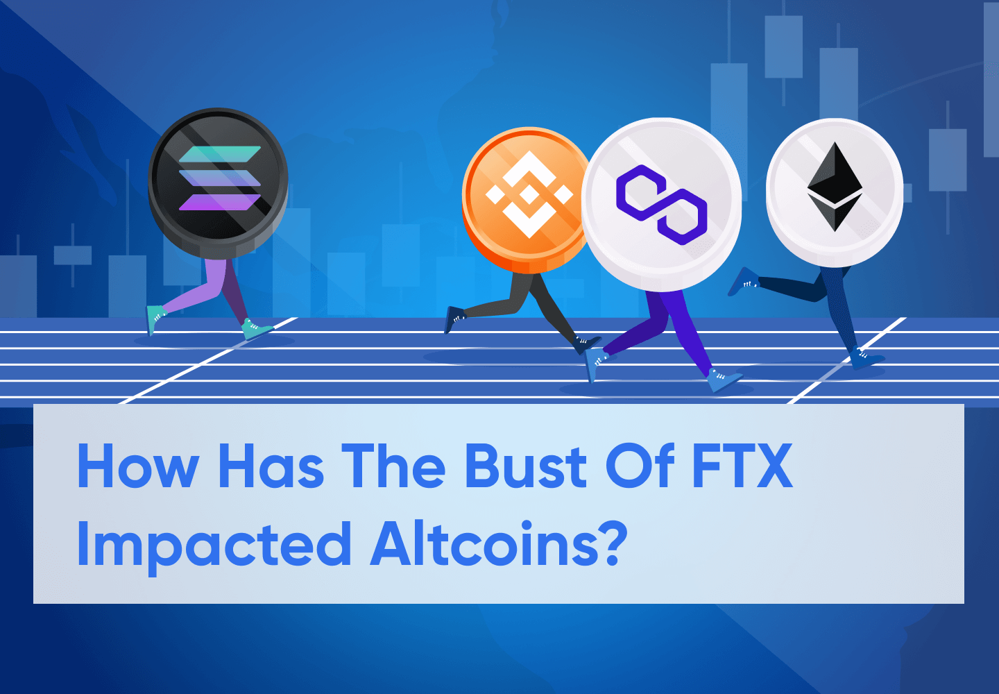 The Best and Worst Crypto Performers in the Aftermath of the FTX Saga