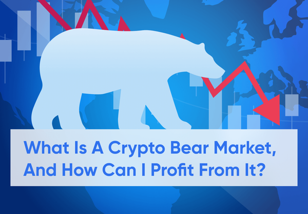 Crypto Bear Market Definition, Cause, And Best Investment Strategies