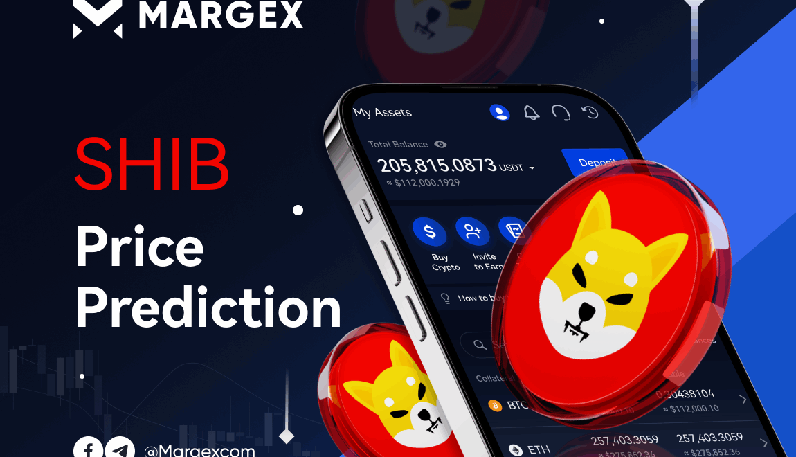 2024-2030 için Shiba Coin