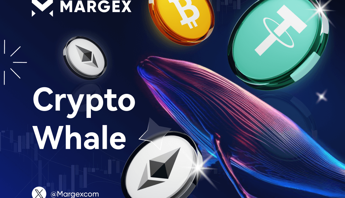 Kripto Para Balinaları ve Piyasayı Nasıl Etkiledikleri