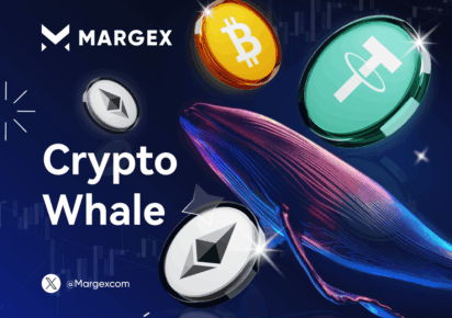 Le balene delle criptovalute e il loro impatto sul mercato