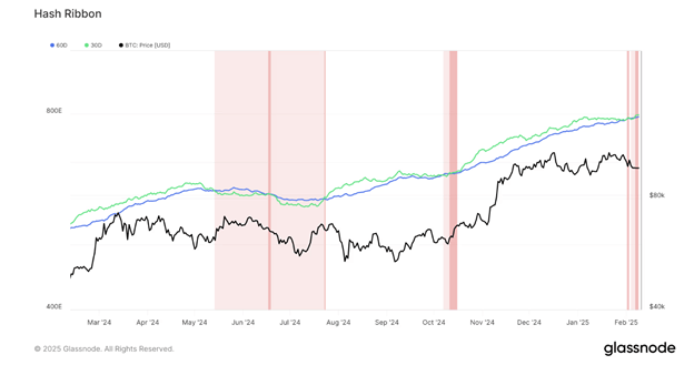 Krypto-Preisprognose: Ruhende Bitcoin-Bewegungen, Litecoin-Bullen zielen auf Höchststände und Dogecoin steht unter rückläufigem Druck - Margex Blog