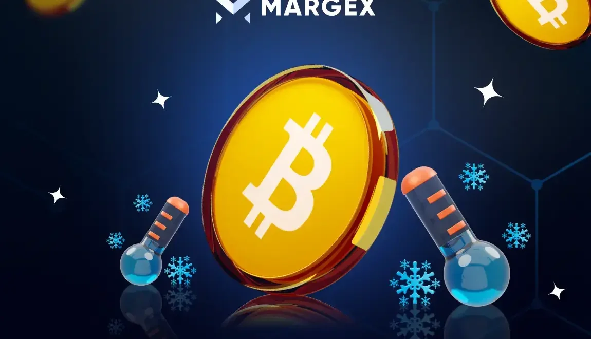 2020 Bitcoin-Käufer halten BTC trotz $109.000 All-Time-High fest