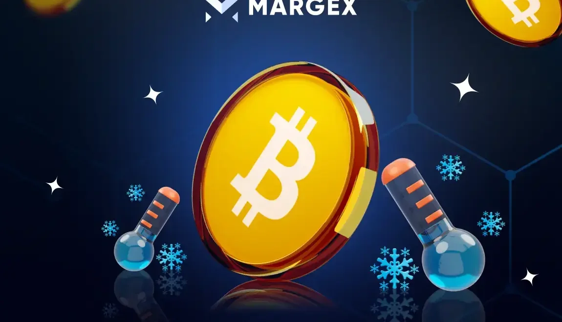 2020 Bitcoin Alıcıları, Tüm Zamanların En Yüksek Seviyesi 109.000 Dolara Rağmen BTC'yi Sıkı Tutuyor