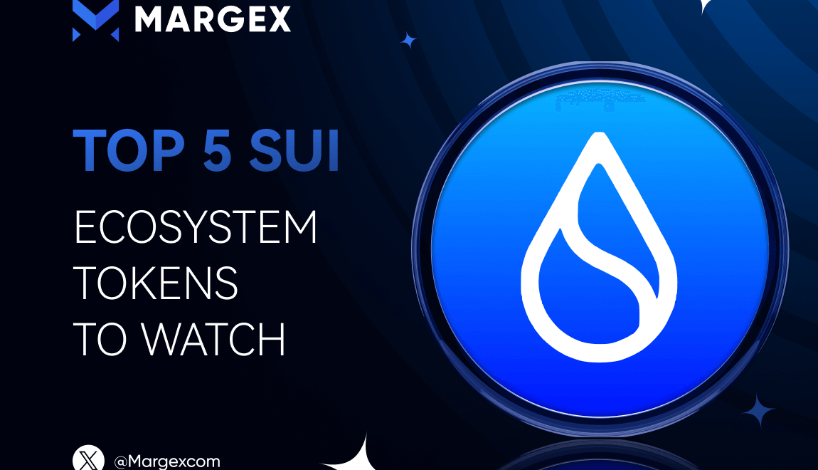 2025년 주목해야 할 Sui 생태계 토큰 Top 5