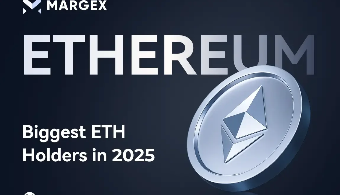 Quem possui a maior quantidade de Ethereum? Os maiores detentores de ETH