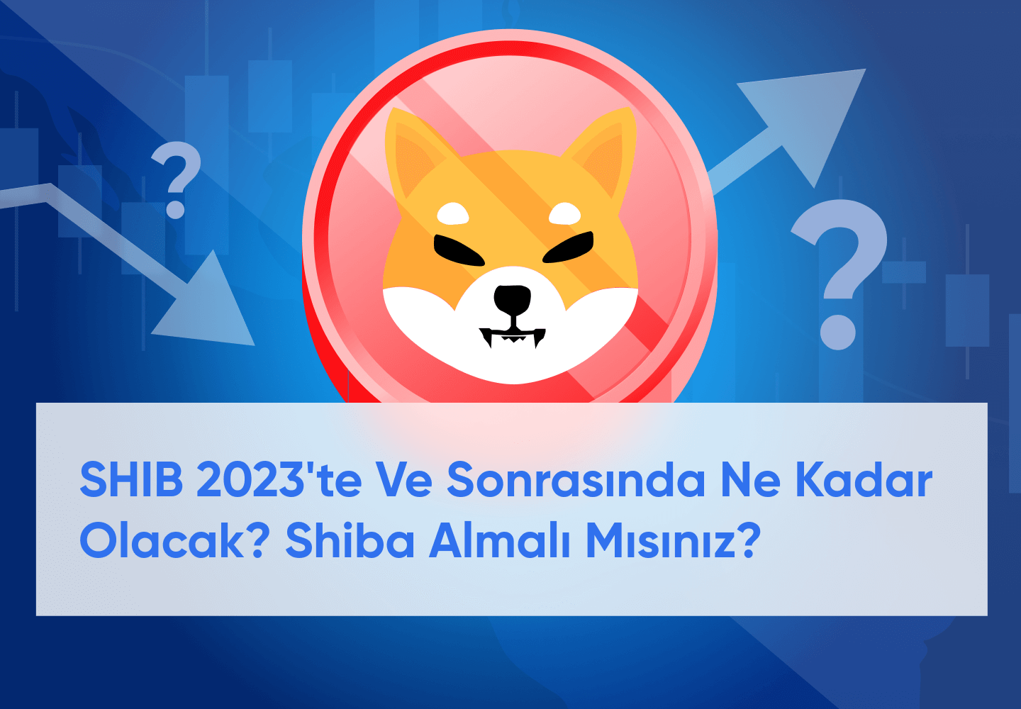 For 2023-2030 için Shiba Coin